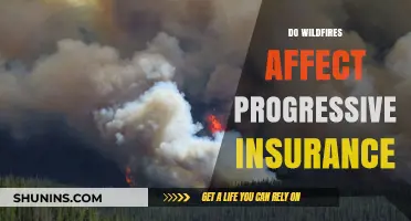 Wildfires and Insurance: Progressive's Response to Natural Disasters