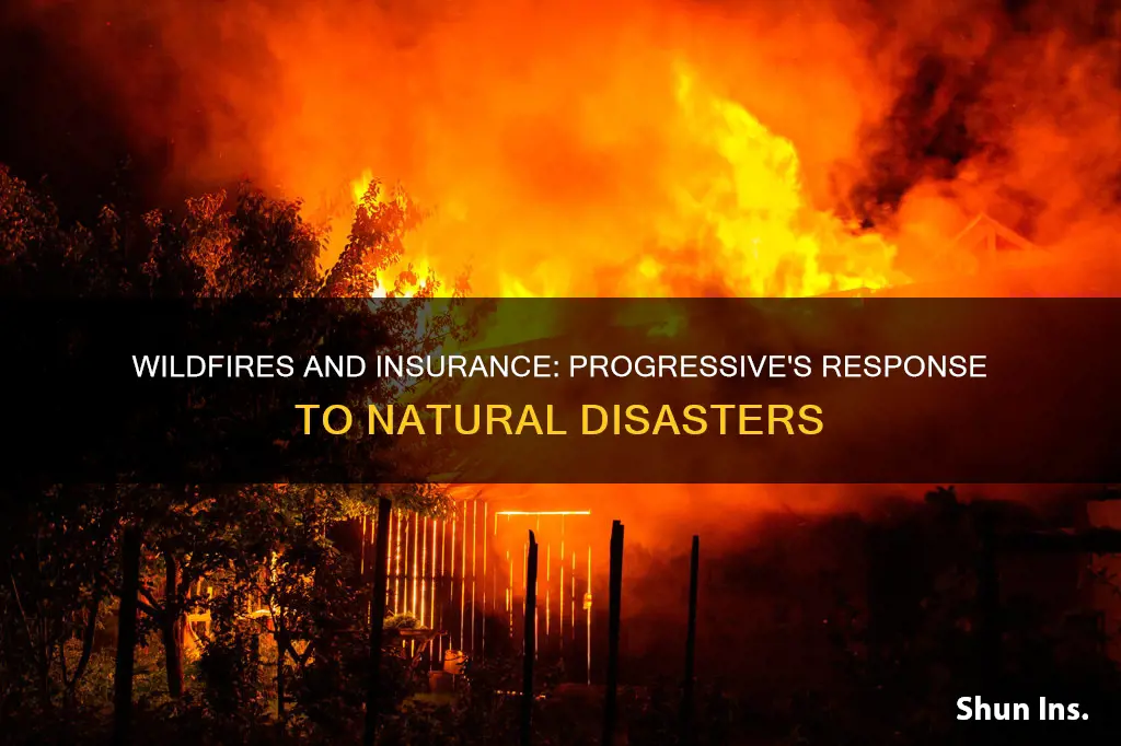 do wildfires affect progressive insurance