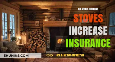 Wood Burning Stoves and Insurance: Understanding Potential Premium Impacts