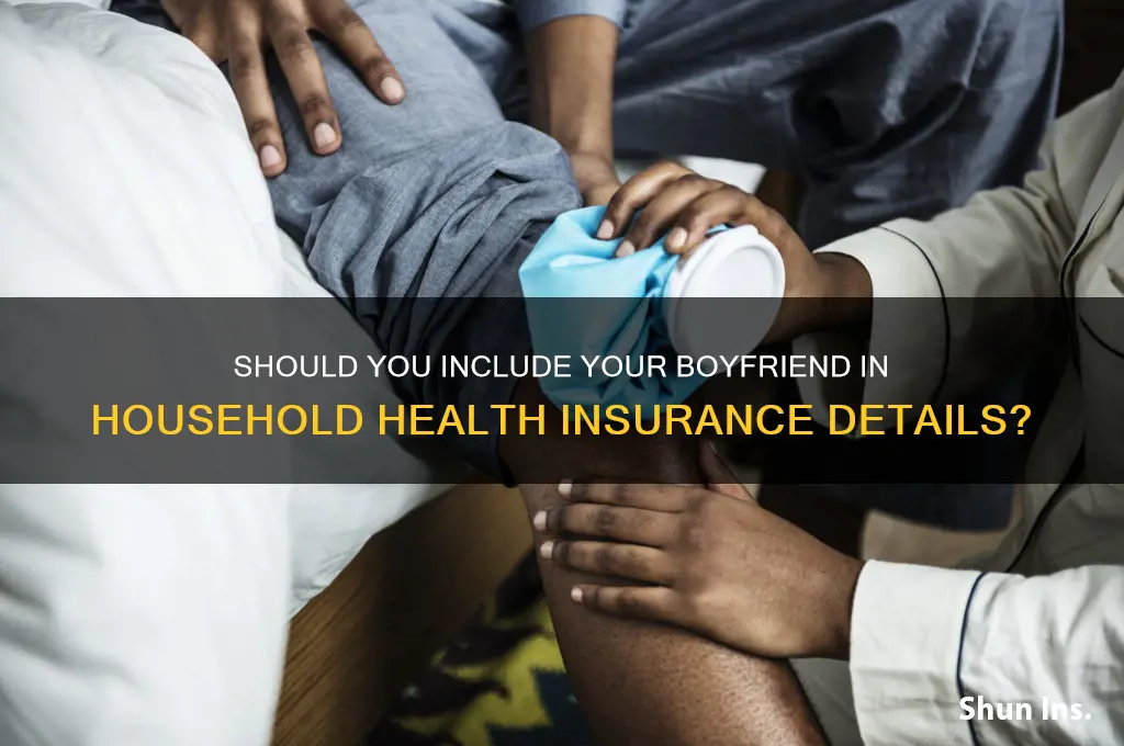 do you add boyfriends to household info for health insurance