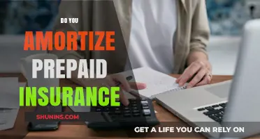 Understanding Amortization: How to Handle Prepaid Insurance Expenses