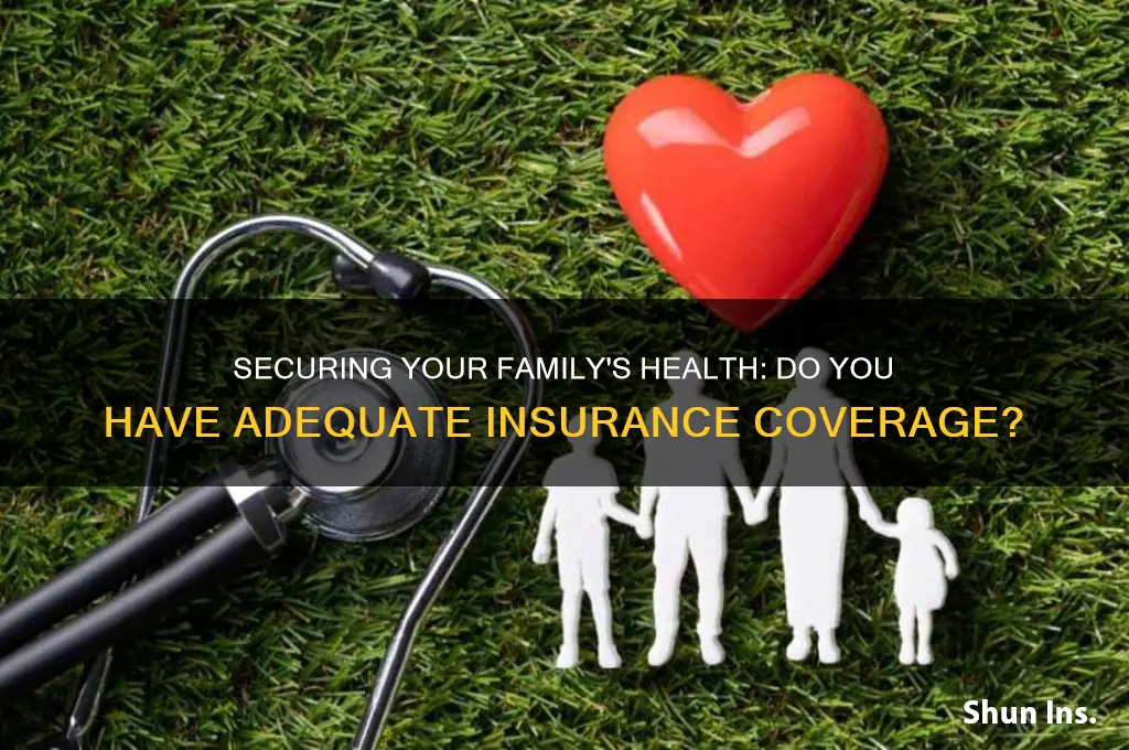 do you and any family members have health insurance