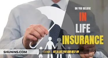 Life Insurance: A Necessary Safety Net?