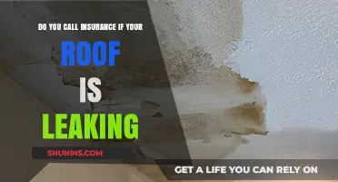 Roof Leaking: When to Call Insurance and What to Do