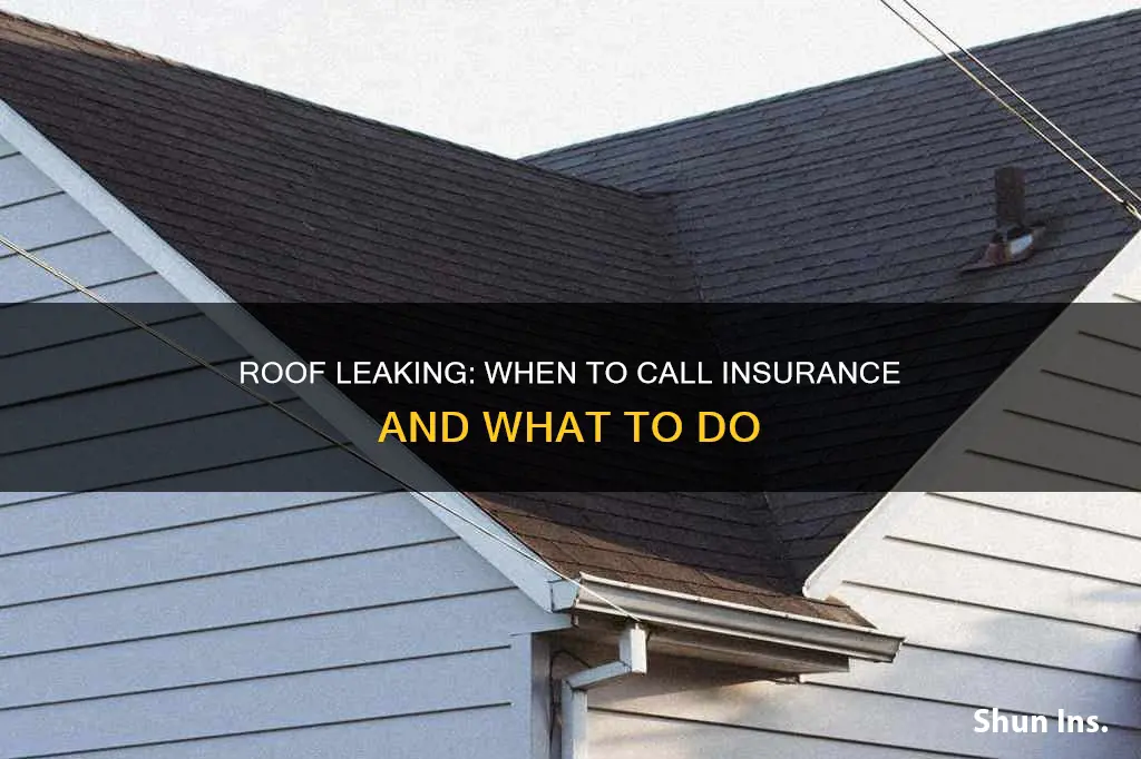 do you call insurance if your roof is leaking