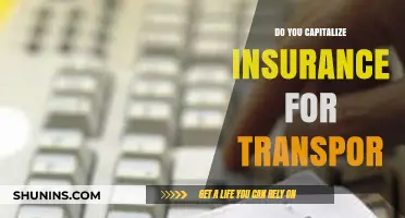 Capitalizing Insurance for Transport: Rules and Best Practices Explained