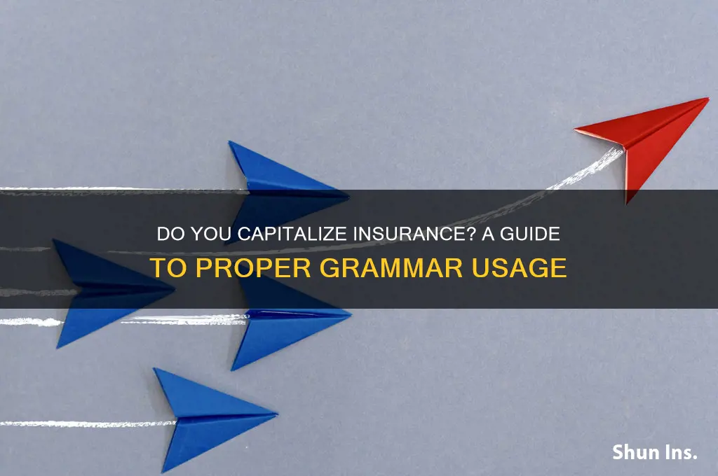 do you capitalize insurance