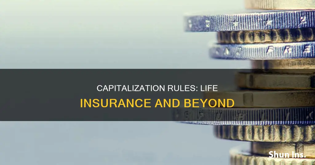 do you capitalize the word life in life insurance