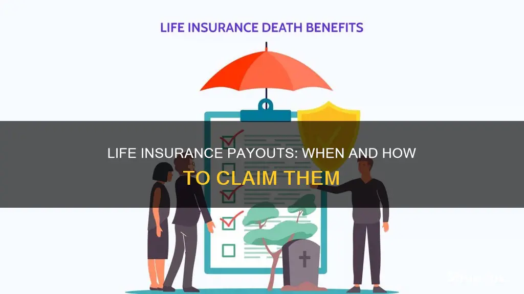 do you collect life insurance when someone dies