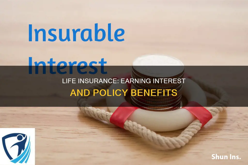 do you earn interest on life insurance