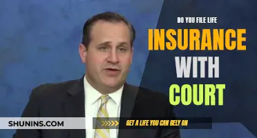 Life Insurance and Court: When to File?