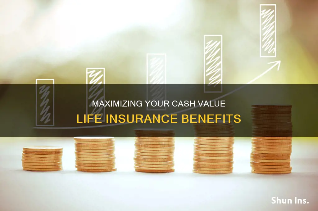 do you get 100 of the cash value life insurance