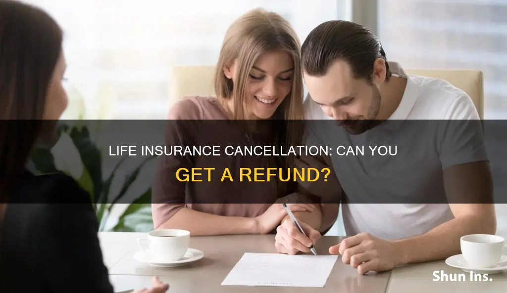 do you get money back if you cancel life insurance