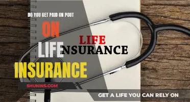 Life Insurance: Payouts, Payments, and Your Money