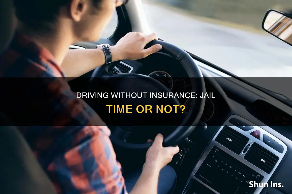 do you go to jail for no insurance