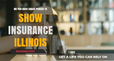 Illinois Insurance Grace Period: What You Need to Know