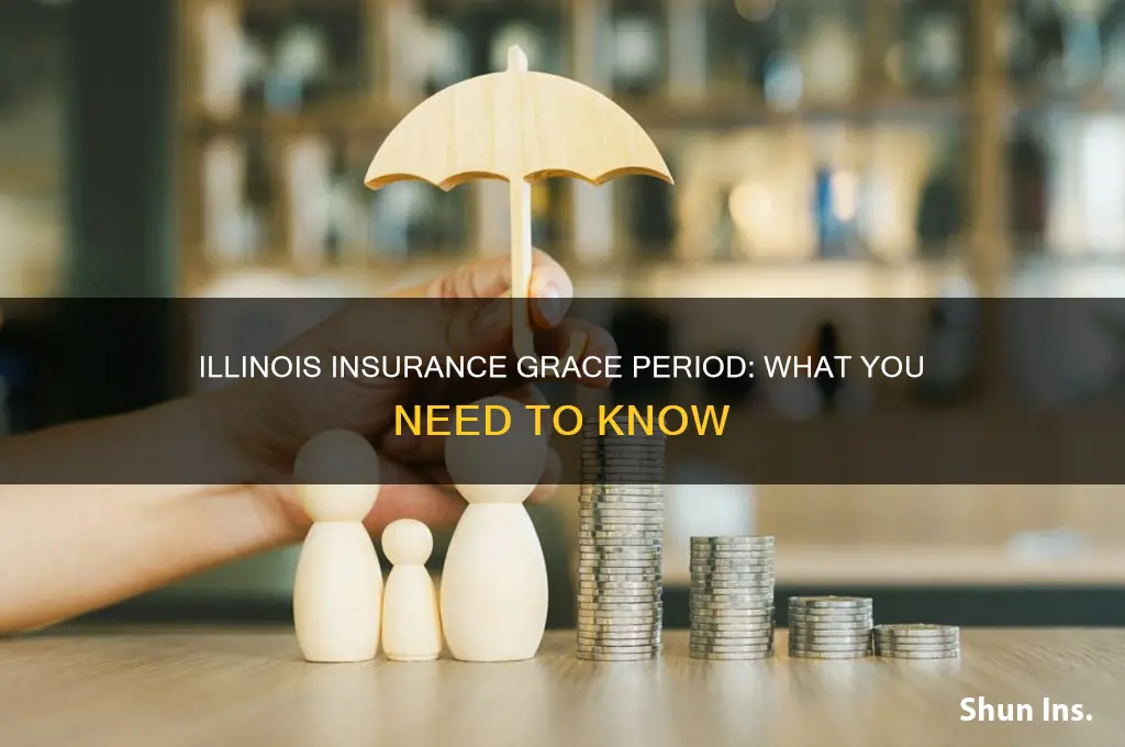 do you have grace period to show insurance illinois
