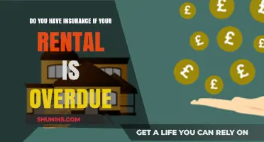 Overdue Rental? Understanding Your Insurance Coverage and Potential Risks