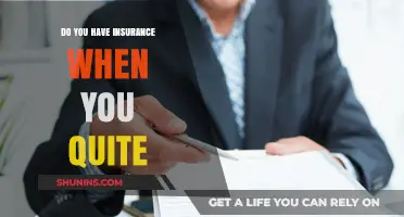 Quitting Your Job? Understand Your Insurance Options After Leaving Employment