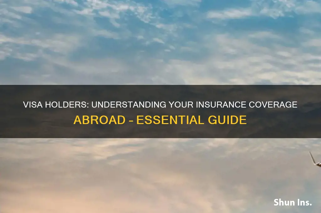 do you have insurance while on a visa
