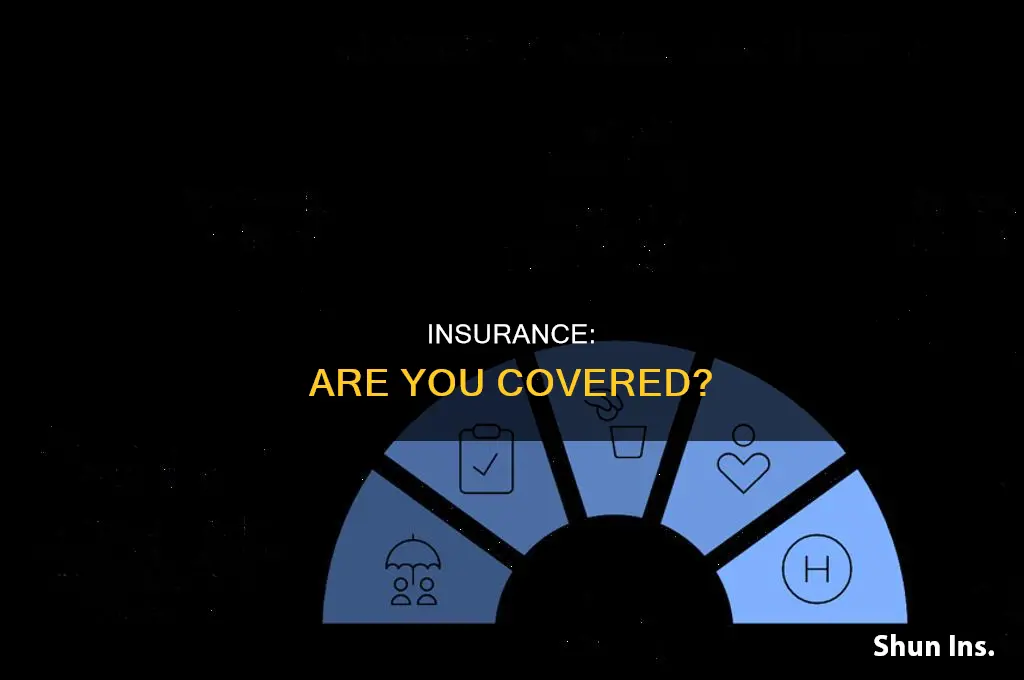do you have insurance