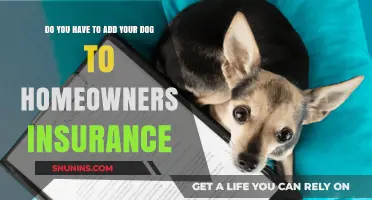 Understanding Home Insurance: Adding Your Dog to the Policy