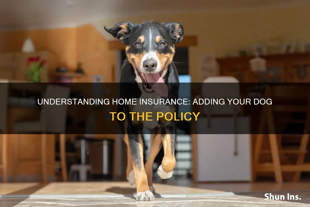 do you have to add your dog to homeowners insurance