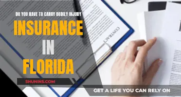 Bodily Injury Insurance: Florida's Law