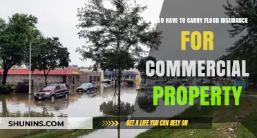 Flood Insurance: A Must-Have for Commercial Property Owners?