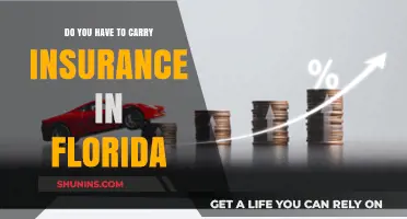 Insurance in Florida: What You Need to Know