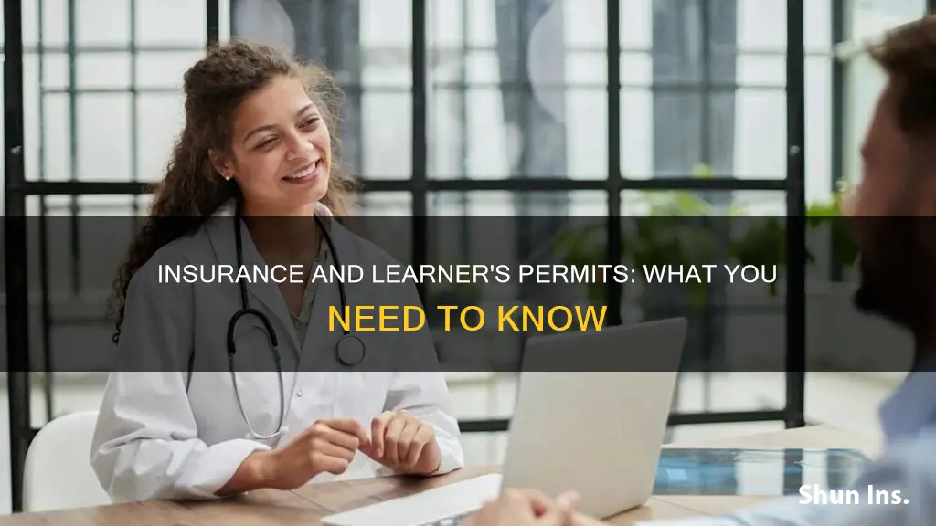 do you have to carry insurance with a learners permit