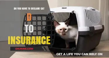 Declaring Cat D Status: Insurance Requirements and What You Need to Know