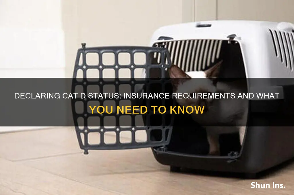 do you have to declare cat d to insurance