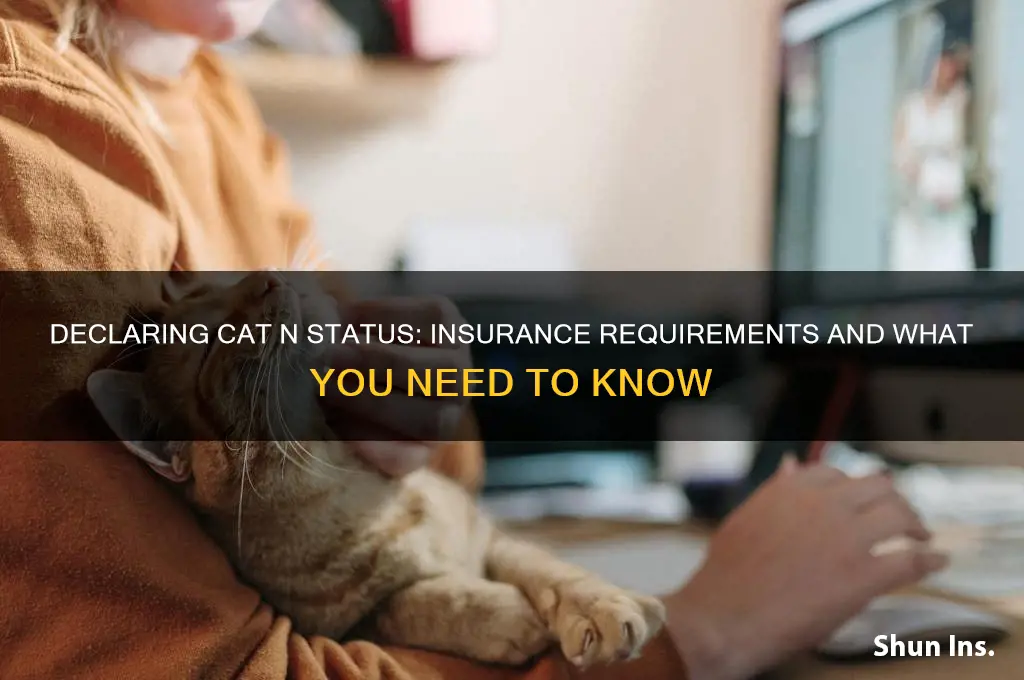 do you have to declare cat n to insurance