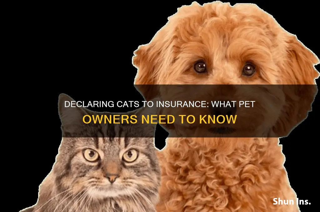 do you have to declare cat s to insurance