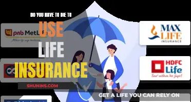 Life Insurance: Death's Companion or Just a Myth?