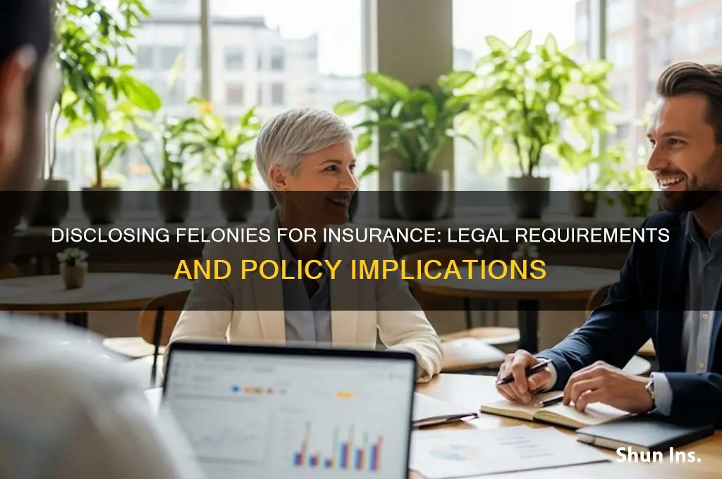 do you have to disclose felony for insurance