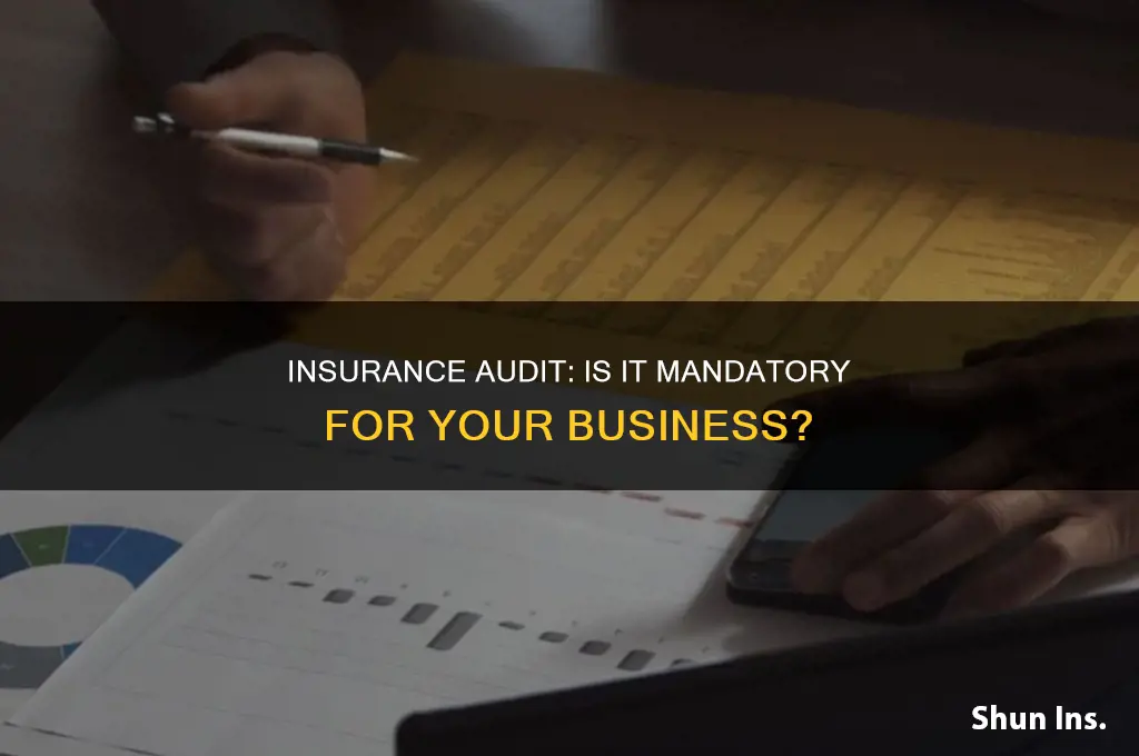 do you have to do an insurance audit