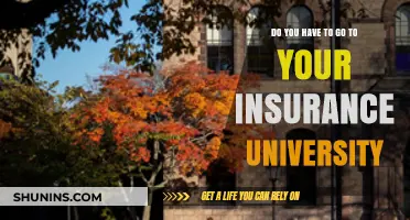 Insurance University: A Must or a Miss?