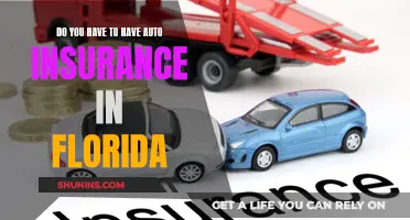 Auto Insurance: Florida's Mandatory Law