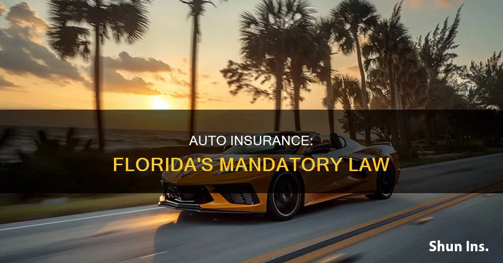 do you have to have auto insurance in Florida