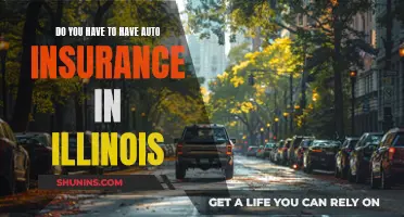 Auto Insurance in Illinois: What You Need to Know