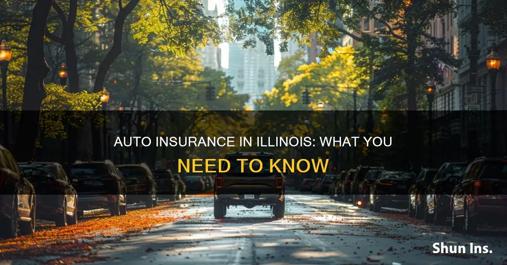 do you have to have auto insurance in Illinois