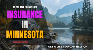 Auto Insurance in Minnesota: What You Need to Know