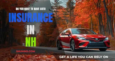 Auto Insurance Requirements in New Hampshire: What You Need to Know