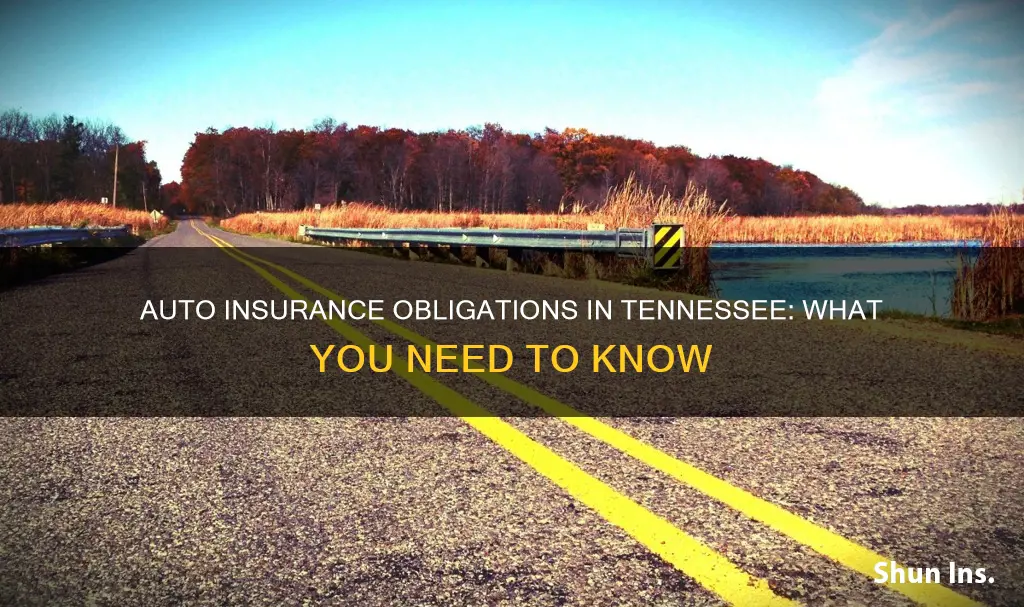 do you have to have auto insurance in Tennessee