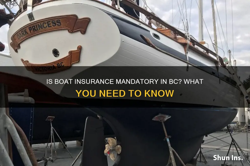 do you have to have boat insurance in bc