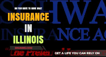 Is Boat Insurance Required in Illinois? What You Need to Know