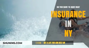 Is Boat Insurance Required in New York? What You Need to Know