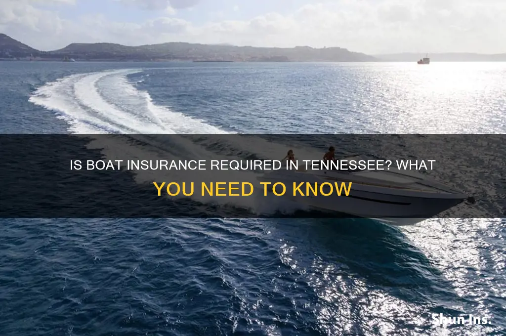do you have to have boat insurance in tennessee